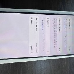 IPhone 17 Pro Max ESIM 256 GB - фото 2