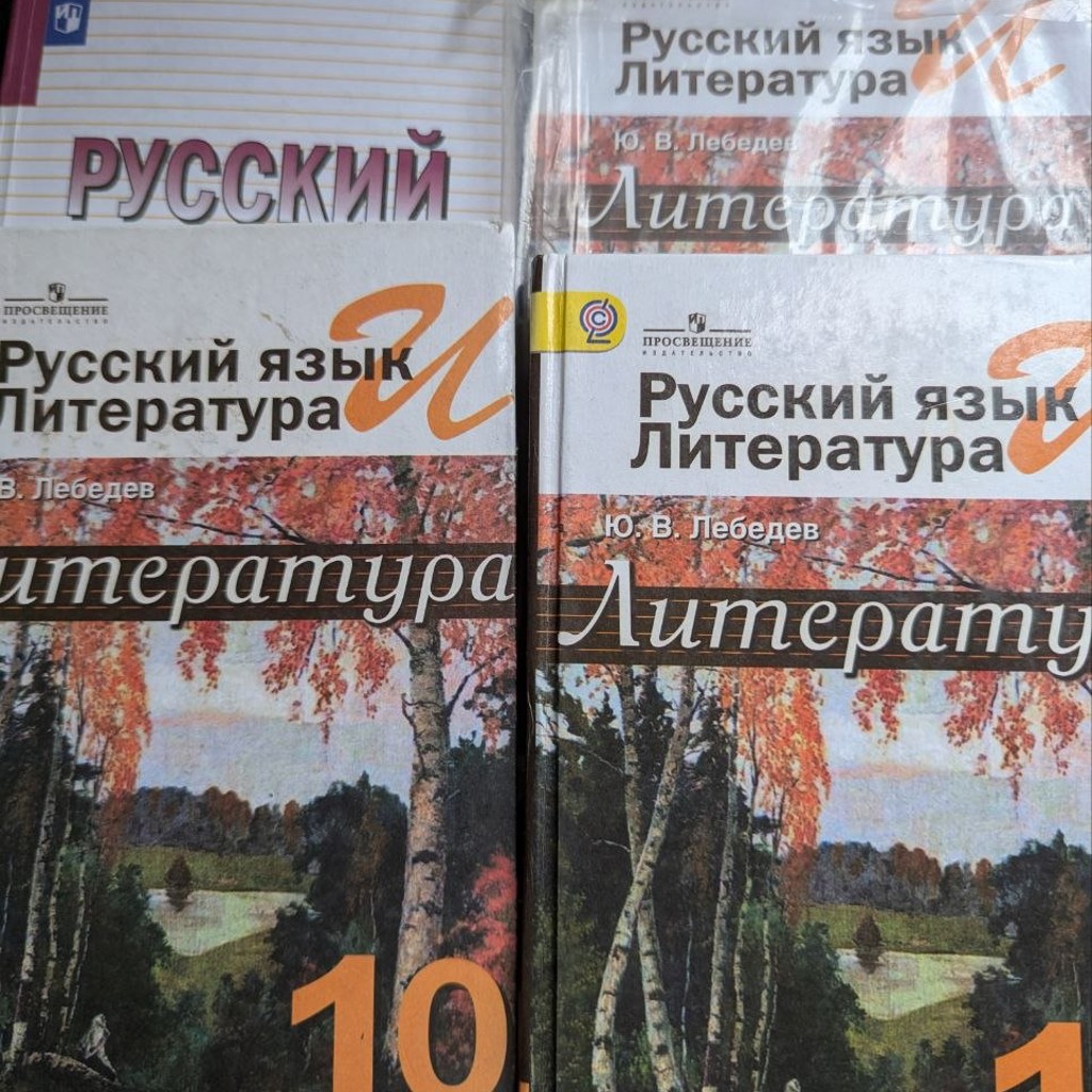 Учебники по русскому языку и литературе