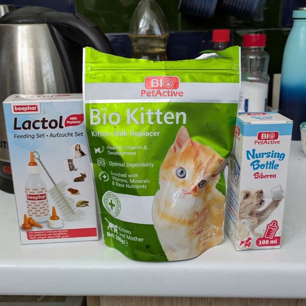 Смесь для котят