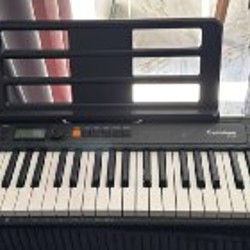Синтезатор Casiotone - фото 2