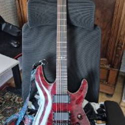 Schecter Diamond Series Damien Special Edition Floyd Rose - фото 2