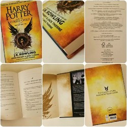 Harry Potter - фото 5