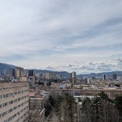 Квартира в Сабуртало - фото 4