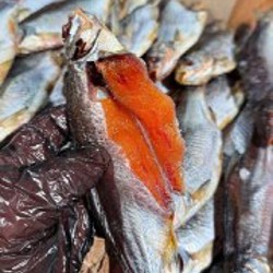 Живые раки и рыбки - фото 7