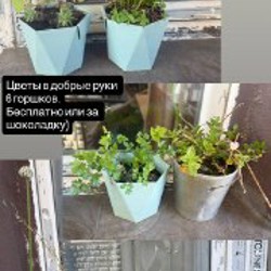 Коробочки - фото 3