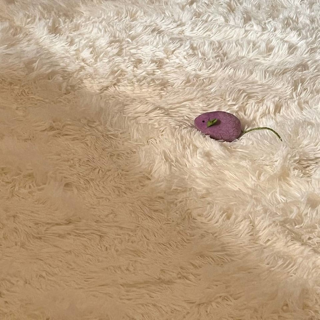 Ковер