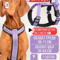 Шлейка фиолетовая М - фото 7
