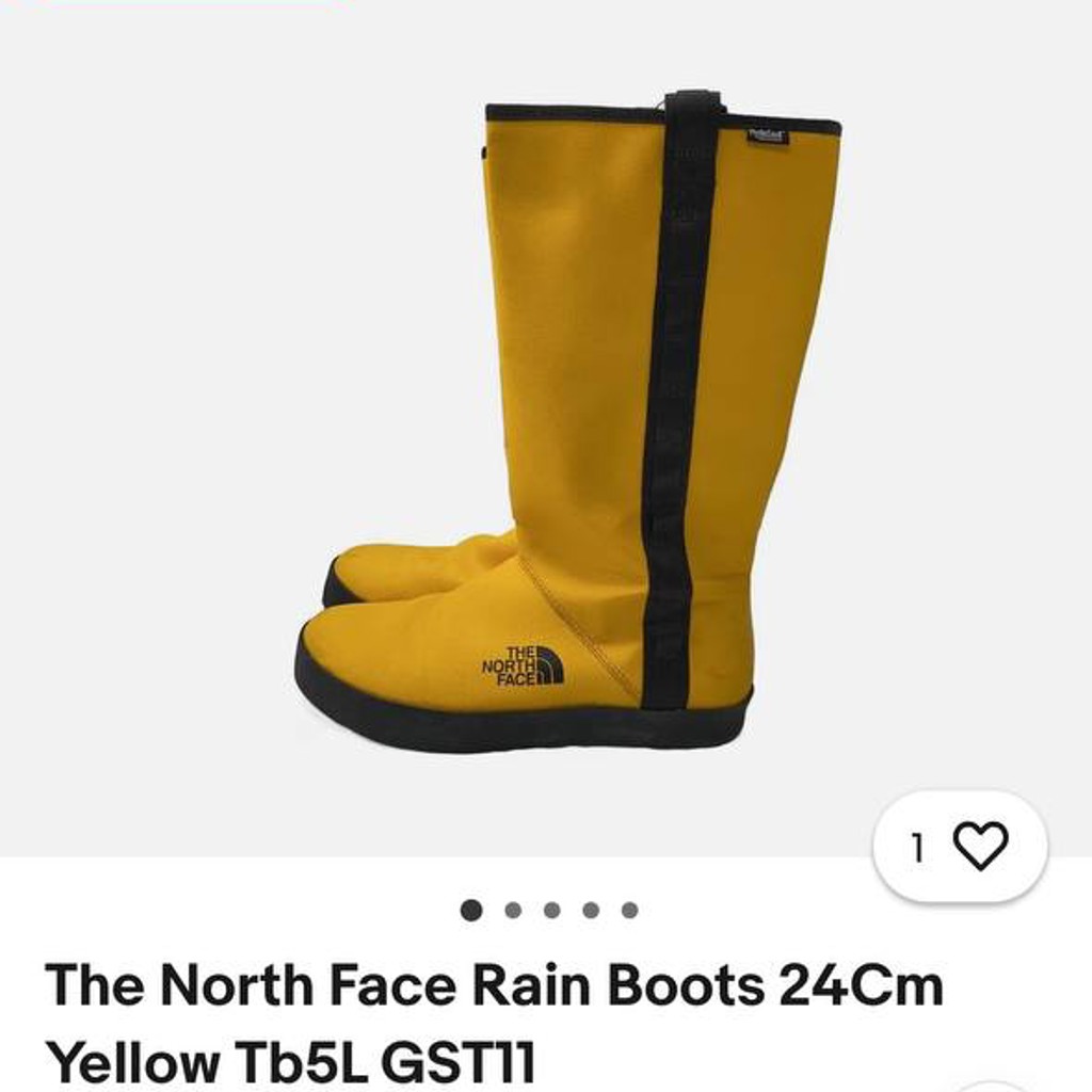 Сапоги The North Face