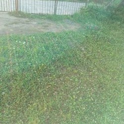 Земельный участок с жилым домом - фото 3