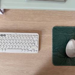 Мышь Logitech Lift White - фото 2