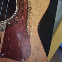 Гитара Framus 77F - фото 8
