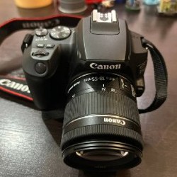 Canon EOS 250D - фото 2