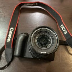 Canon EOS 250D - фото 3