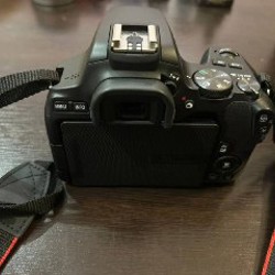 Canon EOS 250D - фото 5
