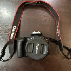 Canon EOS 250D - фото 7