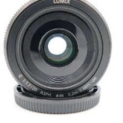 Panasonic LUMIX DC-G100 - фото 2