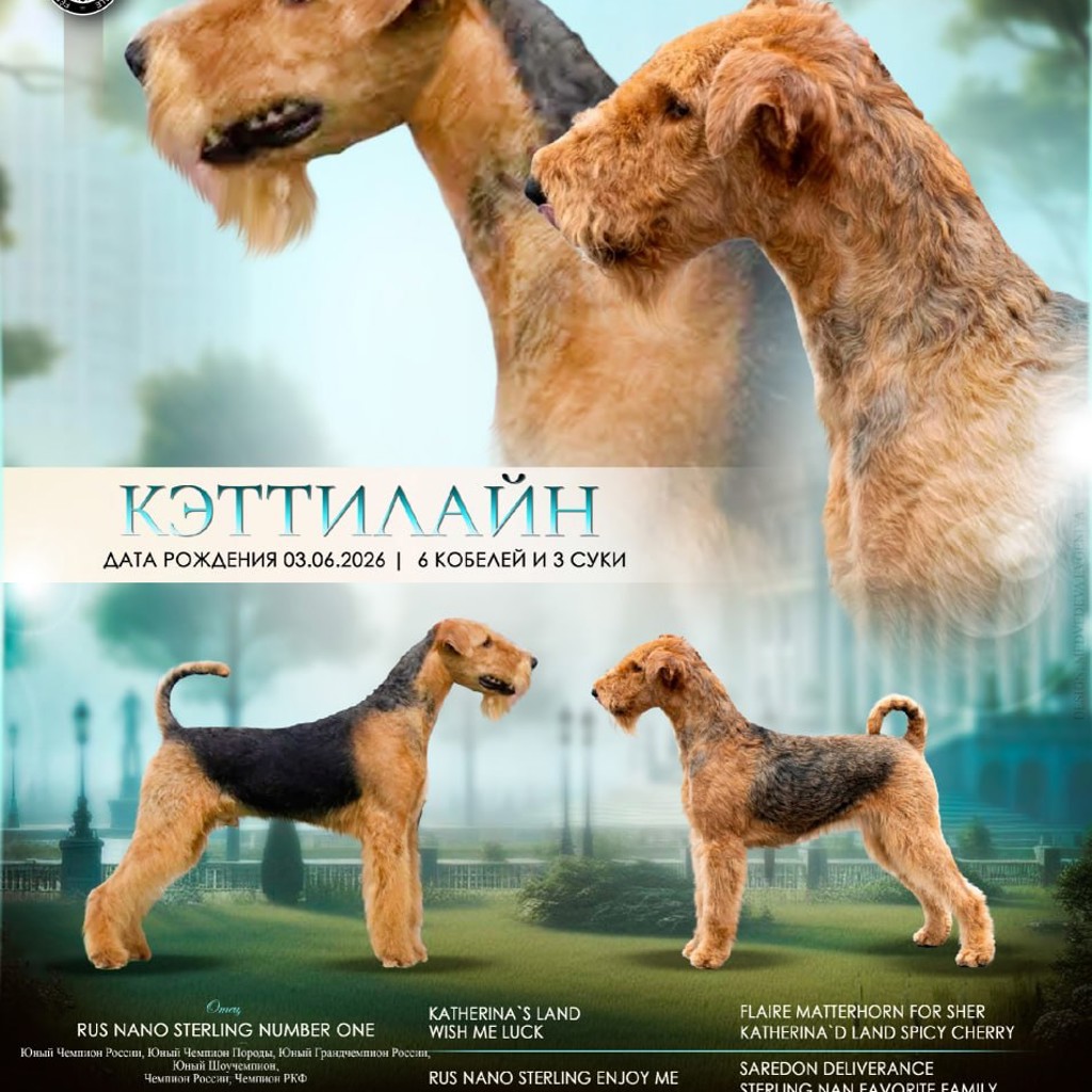 Эрдельтерьер