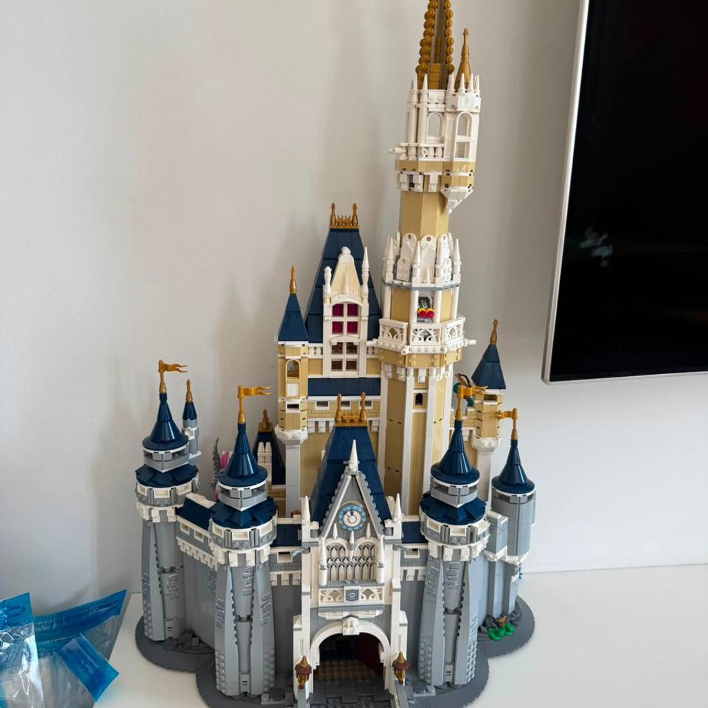 Disney Castle