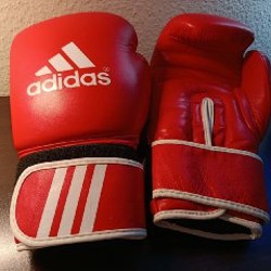 ПЕРЧАТКИ ADIDAS - фото 1