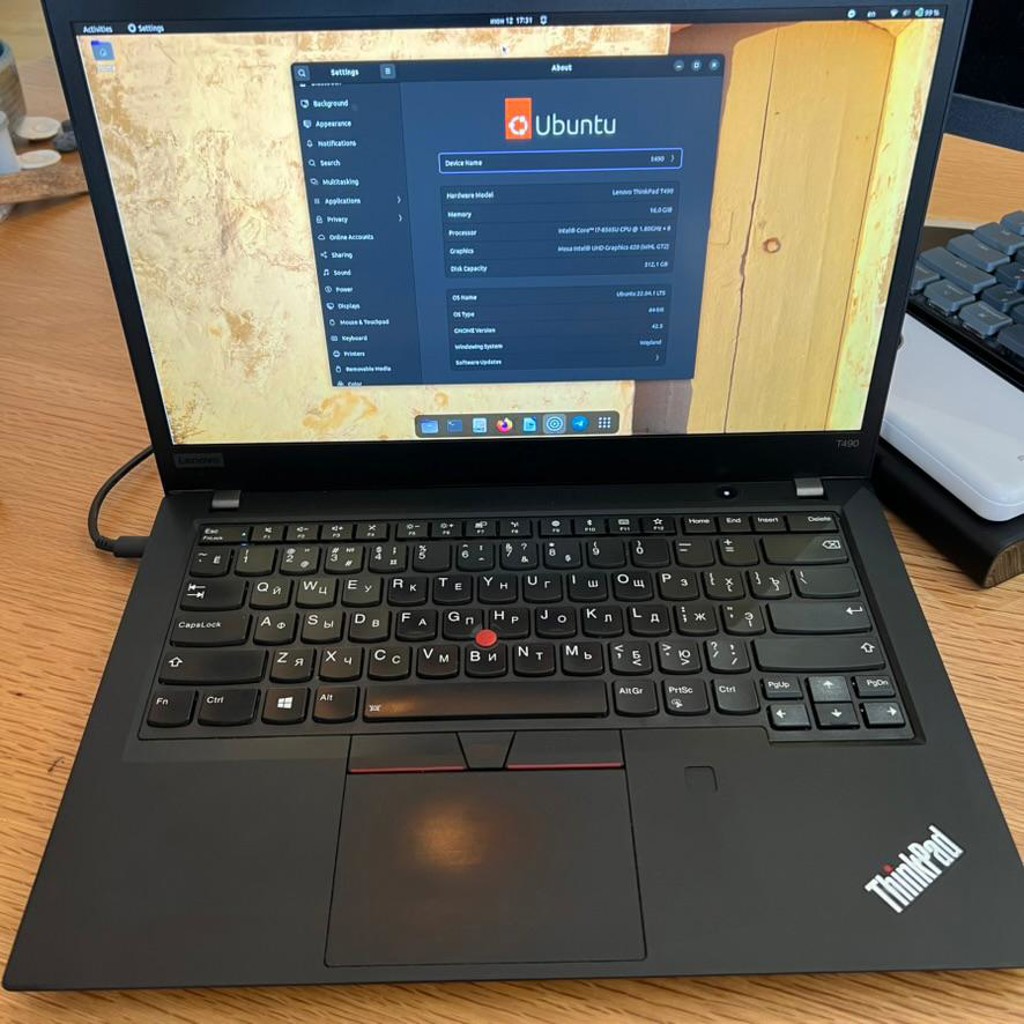 Ноутбук Lenovo Thinkpad T490