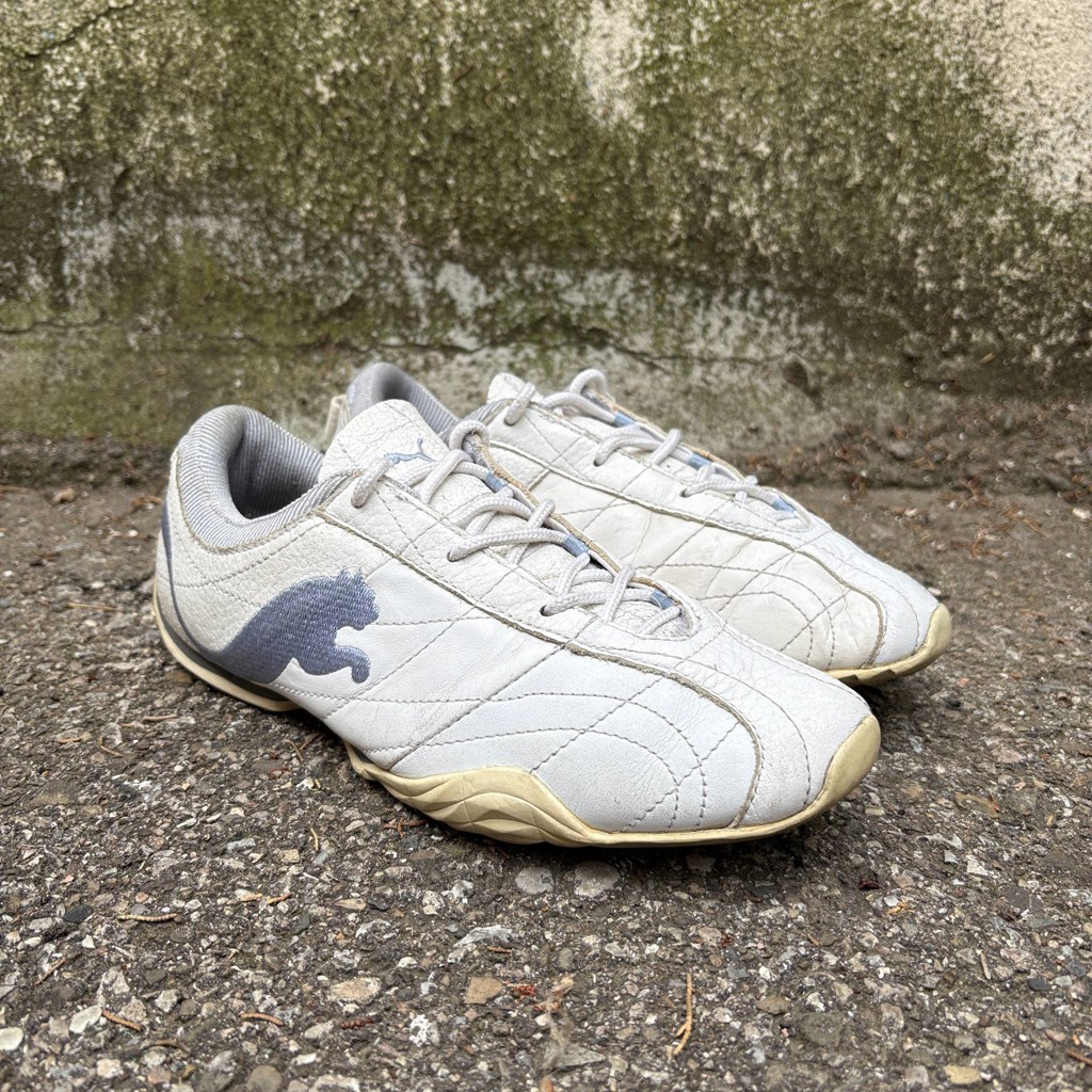 Puma Aiki Cat