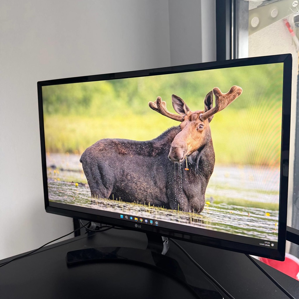 LG 24' IPS Monitor