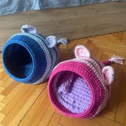 Крассула - фото 5
