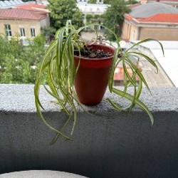 Колонка JBL - фото 8
