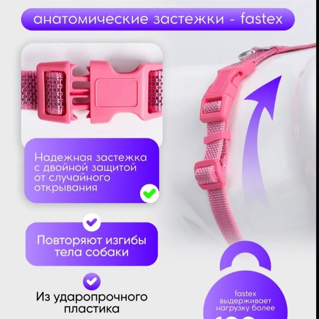 Анатомическая шлейка для собак