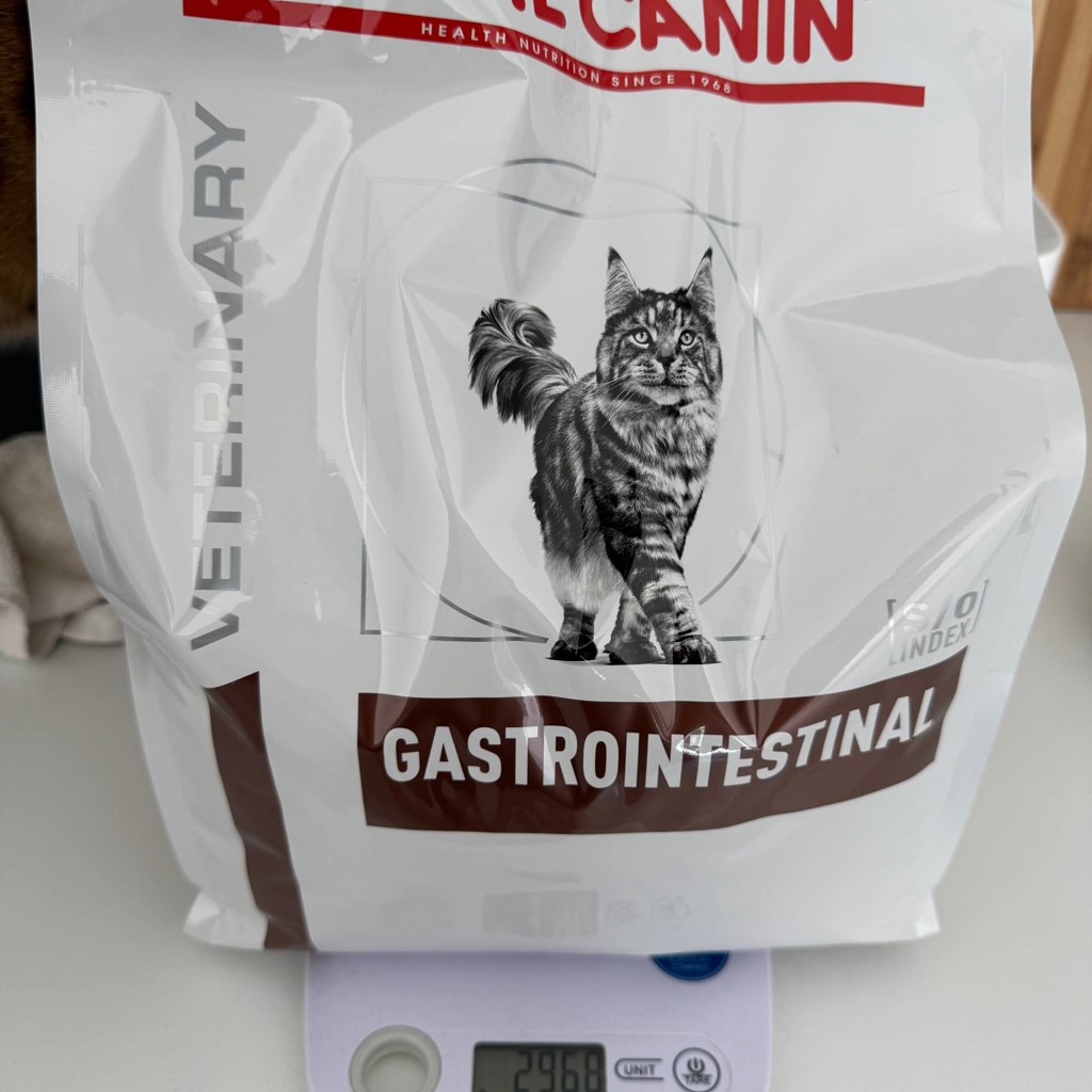 Royal Canin GastroIntestinal cat