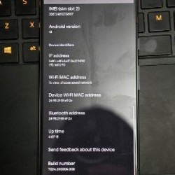 Google Pixel 7 - фото 3