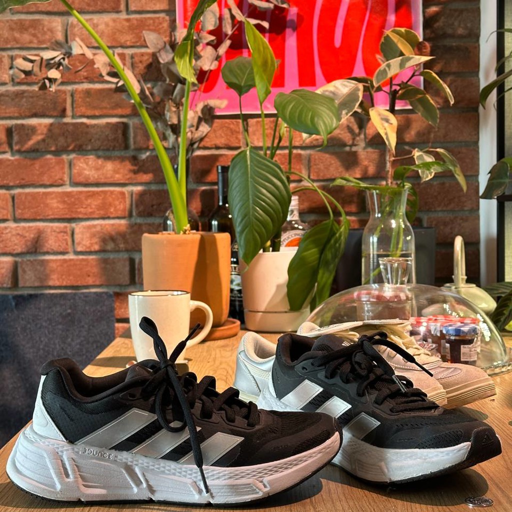 Спортивные кроссовки Adidas