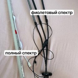 Черная фитолампа с зажимом - фото 4