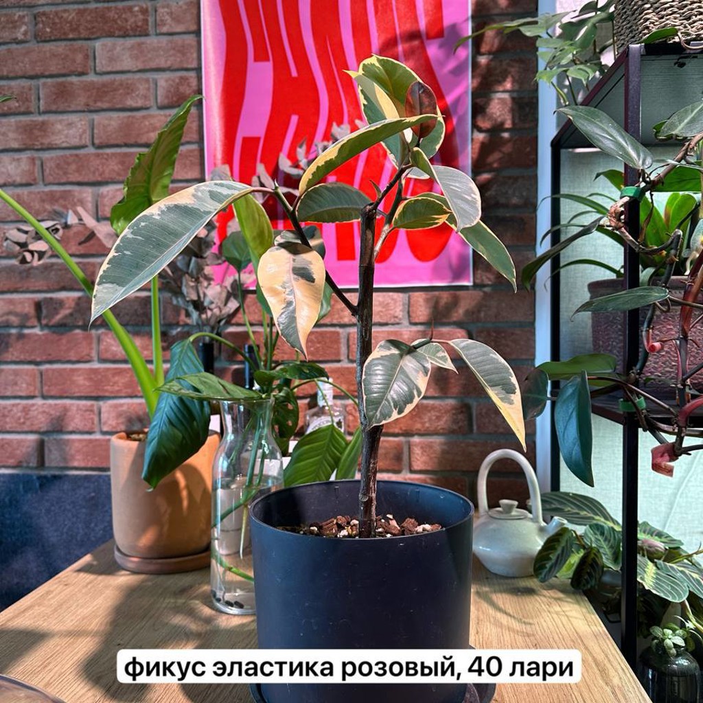 Цветы