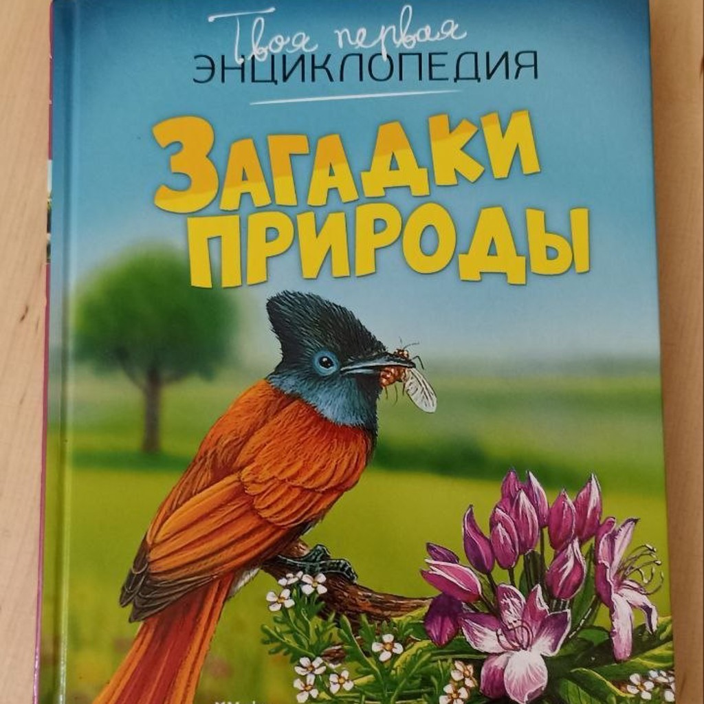 Самоучитель по шитью одежды