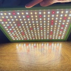 Фитолампа Quantum Board UPD200W - фото 9