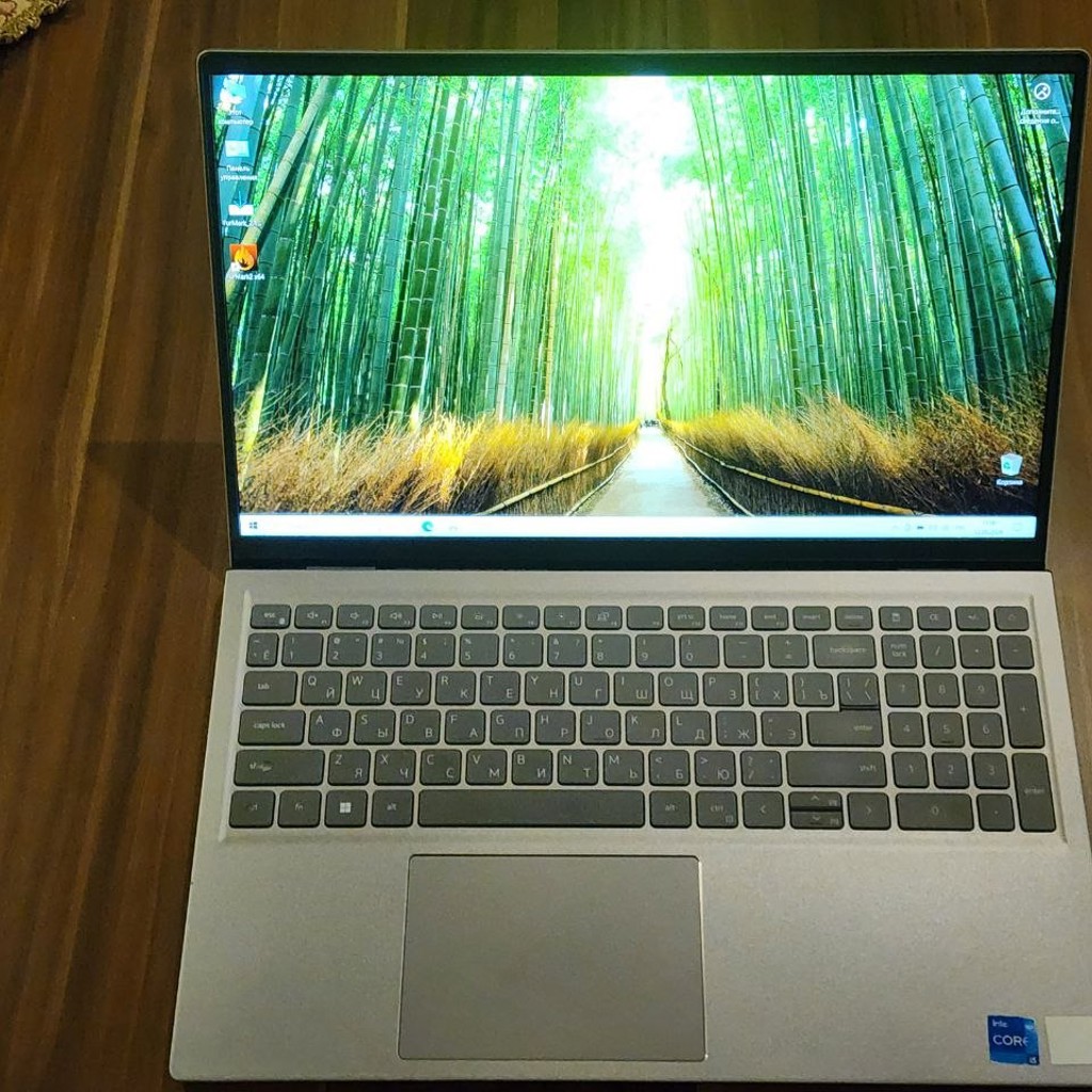Ноутбук Dell P106F