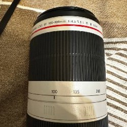 Canon EF 100-400mm f/4.5-5.6L IS II USM - фото 2