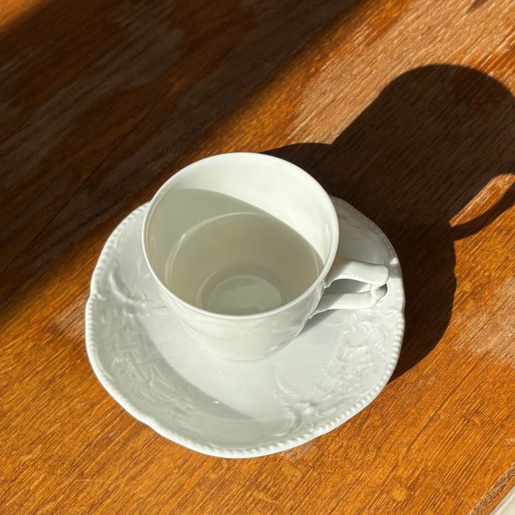 Кофейная пара Rosenthal Classic Collection