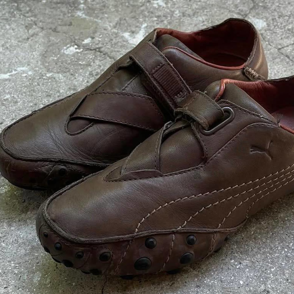 Puma Amoko