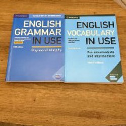 Essential Grammar in Use - фото 1