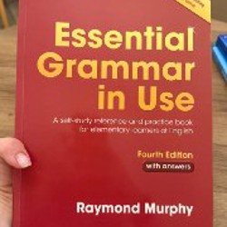 Essential Grammar in Use - фото 3