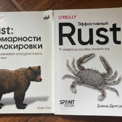 Эффективный Rust. 35 конкретных способов улучшить код - фото 1