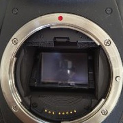 Canon 5D M2 - фото 2
