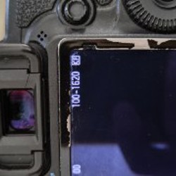 Canon 5D M2 - фото 4