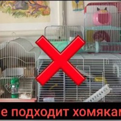 Клетка для хомяка - фото 1