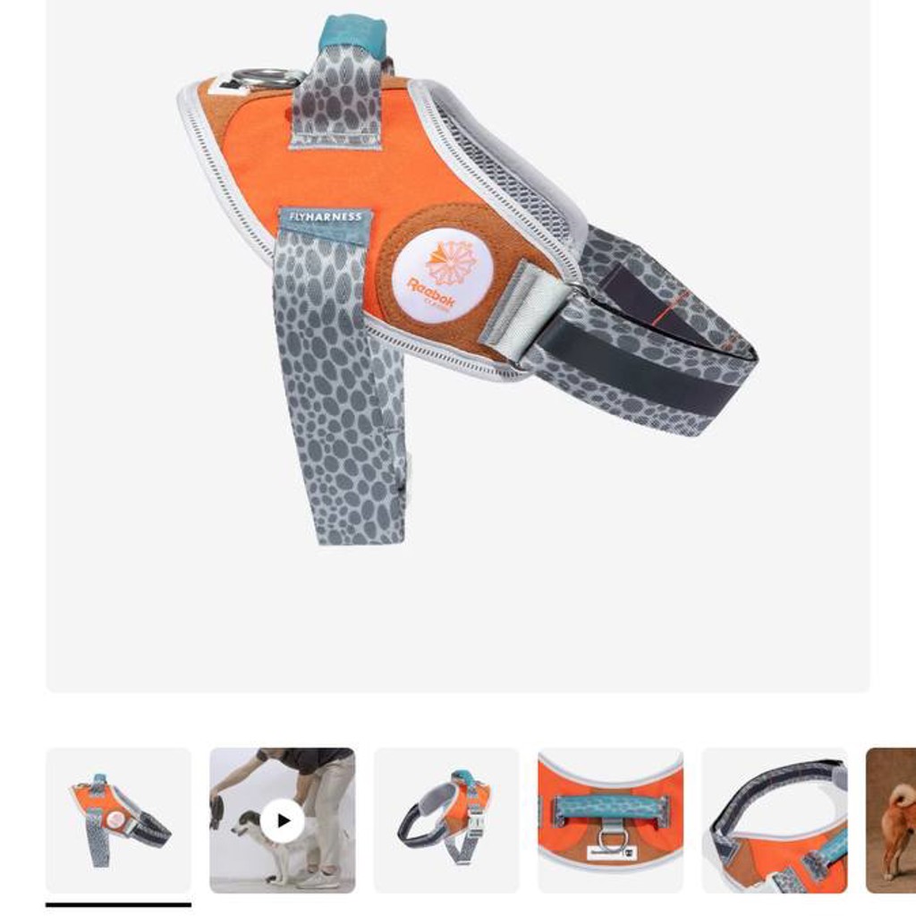 Шлейка Zee.dog x Reebok