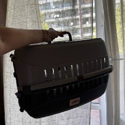 Xiaomi Smart Pet Food Feeder 2 - фото 5