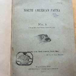 Антикварные книги - фото 8