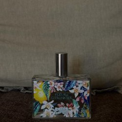 Парфюмерная вода Dolce & Gabbana Q - фото 1